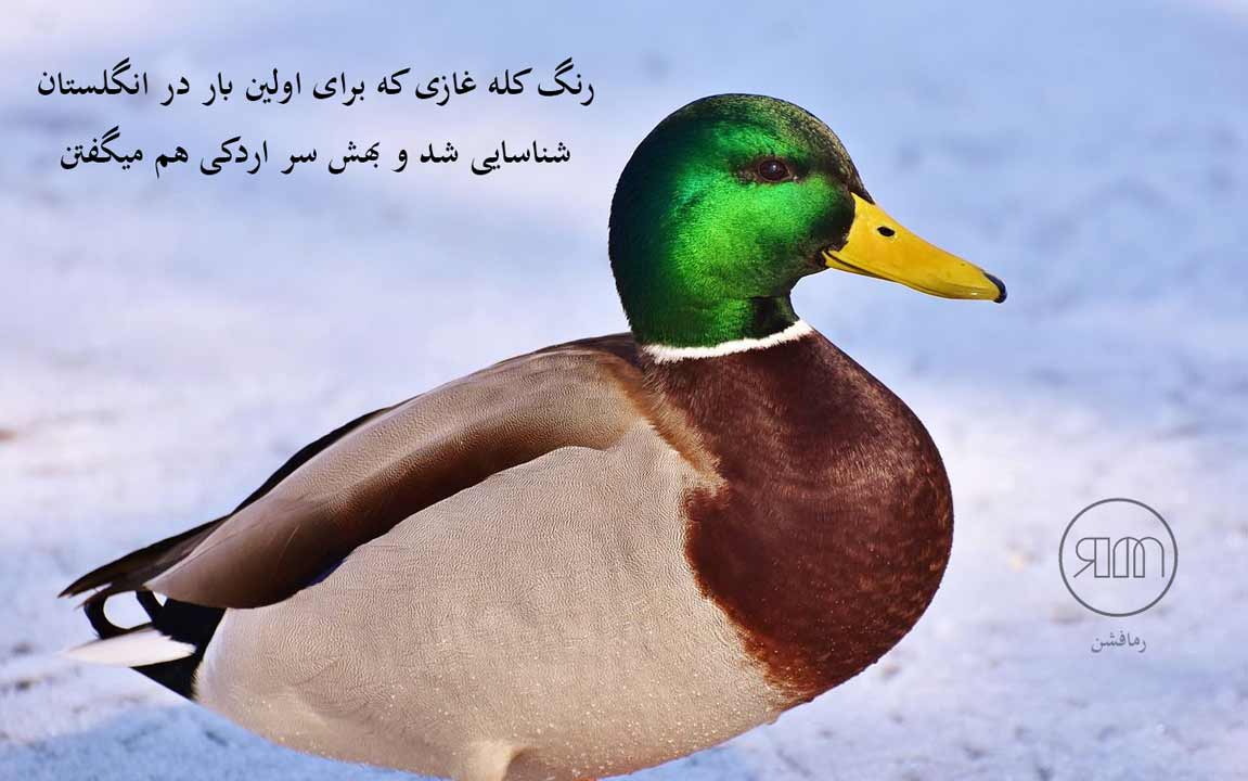 سبز کله غازی